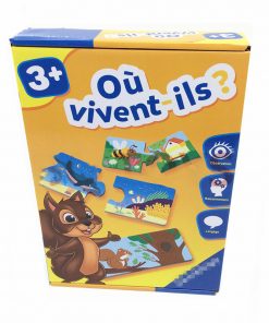 French puzzle toy
