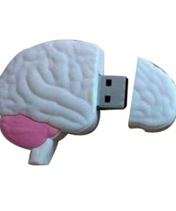 Alternative view of Creative Human Organs U Disk Internal Organs Brain Lip Print