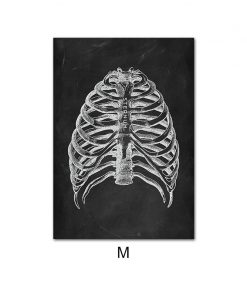 Alternative view of Canvas Painting Of Human Anatomy Skeleton Organ System