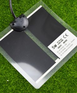 Shi Wang Ant House Kunming-worm Heating Pad