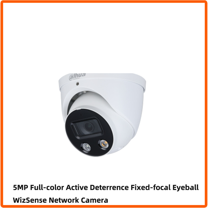 English Version 5 Million Full Color POE Network Camera - Image 5